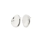 SPARKLE earrings silver-plated