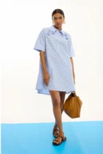 Short Embroidered Floral Striped Poplin Dress - Image 2