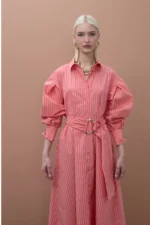 Striped Belted Poplin Shirt Dress - Image 5